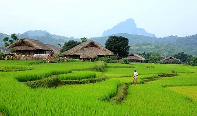 Peaceful Tha Village