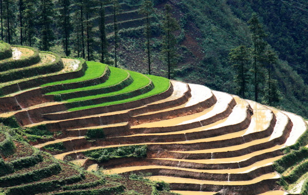 Things to see in Sapa