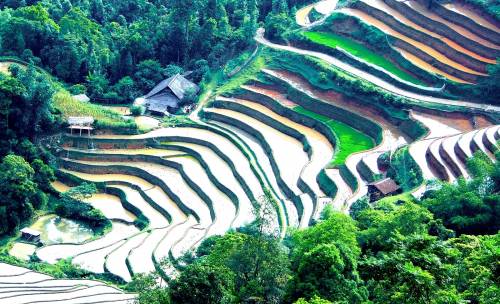 Portraits and landscapes of North Vietnam 16 days
