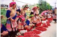 Bac Ha Market, Can Caua Market, Cao Son Market, Lung Khau Nhin, Coc Ly Market, Sin cheng Market
