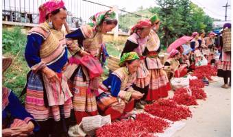 Bac Ha Market, Can Caua Market, Cao Son Market, Lung Khau Nhin, Coc Ly Market, Sin cheng Market