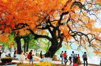 Ha Noi and Ho Chi Minh City Listed in Top 10 World’s Destinations with Reasonable Cost