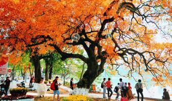 Ha Noi and Ho Chi Minh City Listed in Top 10 World’s Destinations with Reasonable Cost