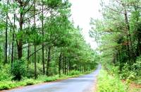 Mang Den Eco-tourism Area in Kon Tum