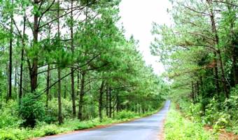 Mang Den Eco-tourism Area in Kon Tum