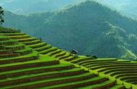 Northern Mountain Area of Vietnam