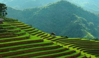 Northern Mountain Area of Vietnam
