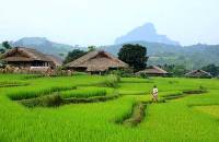 Peaceful Tha Village