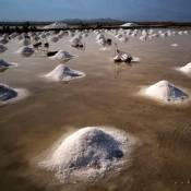 The Beauty of Hon Khoi Salt Field