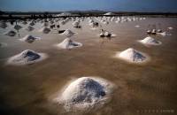 The Beauty of Hon Khoi Salt Field