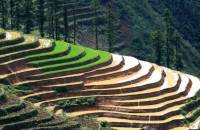 Things to see in Sapa