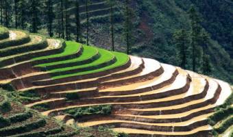 Things to see in Sapa