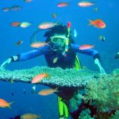 Top Places for Snorkeling in Vietnam