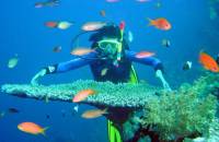Top Places for Snorkeling in Vietnam