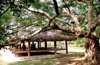 Visit Tan Trao Special National Historical Relic